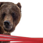 Chasing the bear – Sanctions bite on Russia’s legal market