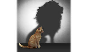cat with lion's shadow