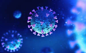 coronavirus cells under the microscope