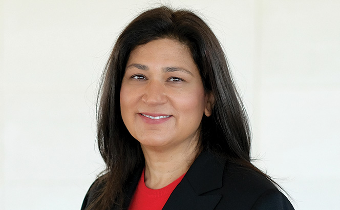 Norton Rose Fulbright EMEA chair appointed to the House of Lords