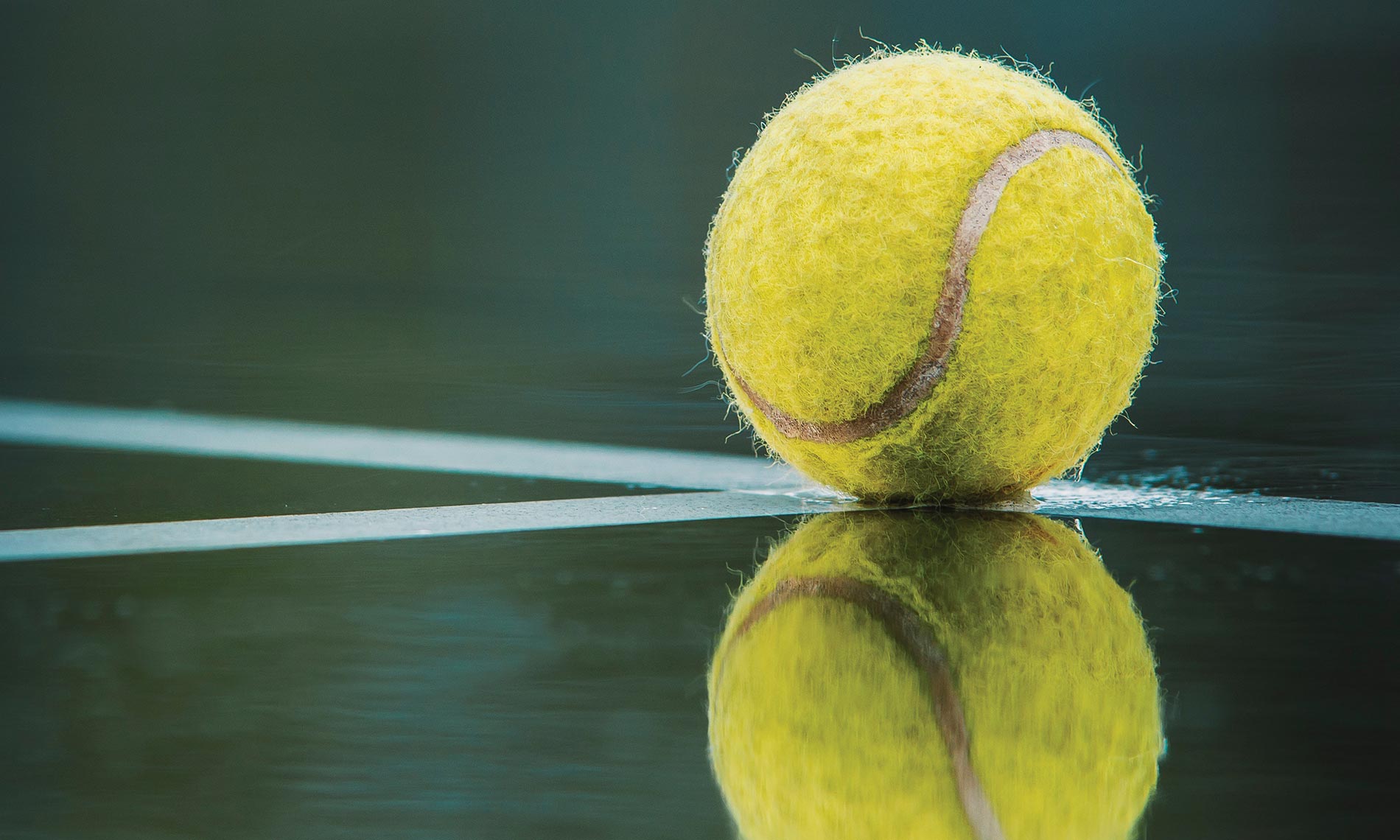 tennis ball