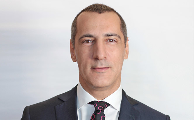 Ion Nestor