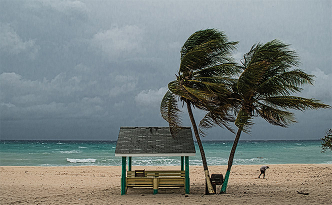 windy beach