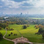 Raising the Bar: The Role of Barristers and their Chambers in the Climate Crisis and Green Transition