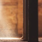 Fight for your rights