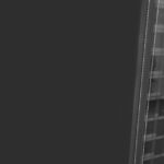 Pushing the boundaries: Ashwini Habbu