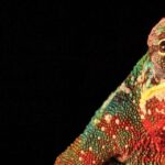 Who do you need to be?