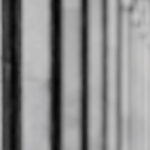 On the Road: Joshua Damm