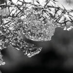 Data Analysis: Part 4  Positive Disruption