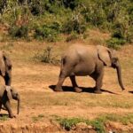 Act like a leader, think like a leader