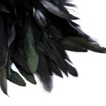 Beware the Black Swan