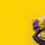 Crises, consumers and growing controls: trends in financial regulation in South America