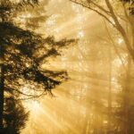 Moving from counsel to general counsel