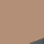 Foreword: Steven Gartner