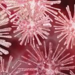 Inside Out: Managing  Legal for GSK in Asia