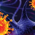 In Conversation: Othelia Langner, head of legal and compliance (Southern Africa and SSA), Medtronic