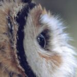 What I now know: Keith Ruddock, recently retired general counsel, The Weir Group