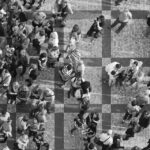 Shaping diversity: part three