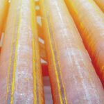 Ritankar Sahu, General Counsel and Head of Compliance, MAXpower Group