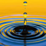 Shaun Johnson, Vision Invest