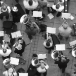 Shaping diversity: part three