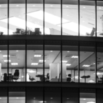 Shaping diversity: part two