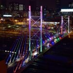 Norton Rose Fulbright becomes latest firm to pull out of South Africa